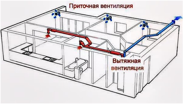 Циркуляционный тип