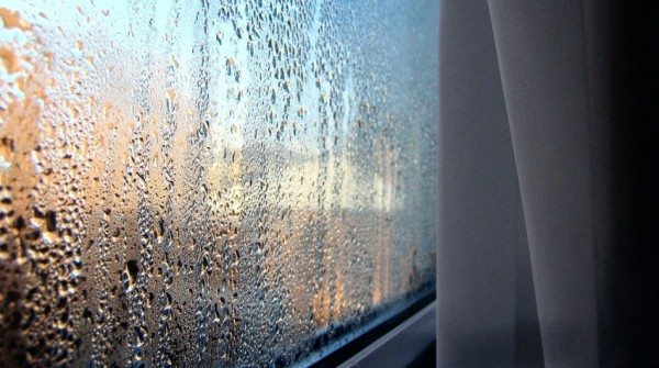 Эффект «плачущих стен» вы можете наблюдать на окнах во время резких похолоданий.