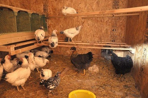 Естественный вариант подходит для небольших помещений