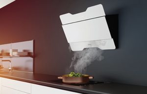 Какие бывают виды вытяжек для кухни