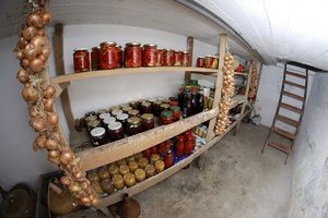 Условия хранения овощей в погребе