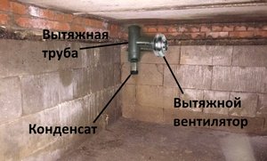 Как устроена принудительная вентиляция